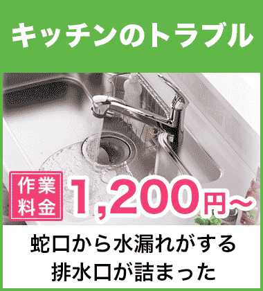 キッチン（台所）の蛇口の水漏れ修理 城陽市